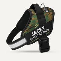 Pawley ™ Ergonomic Harness