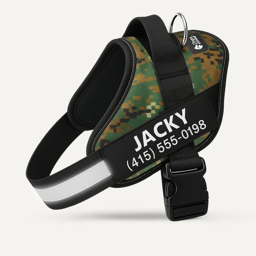 Pawley ™ Ergonomic Harness