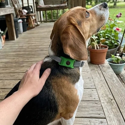 Pawley™ 12-Month Flea & Tick Defense Pendant