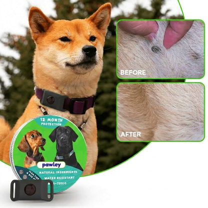 Pawley™ 12-Month Flea & Tick Defense Pendant