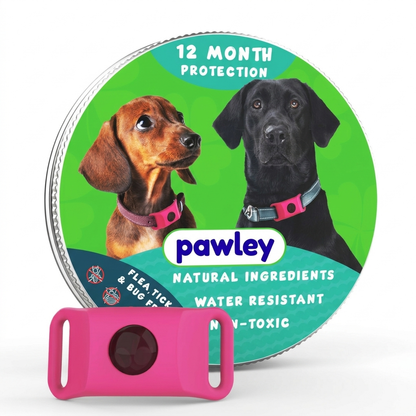 Pawley™ 12-Month Flea & Tick Defense Pendant