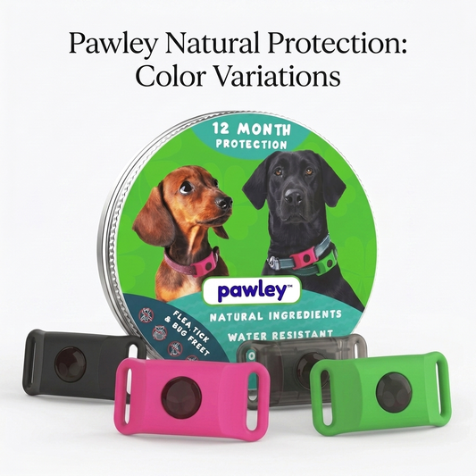Pawley™ 12-Month Flea & Tick Defense Pendant