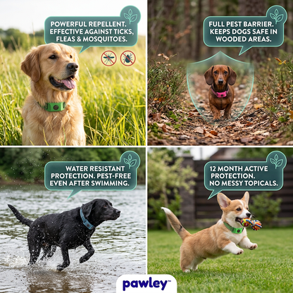 Pawley™ 12-Month Flea & Tick Defense Pendant